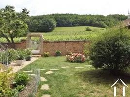 jardin avec vue