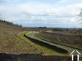 vue sur la vignoble de Mercurey