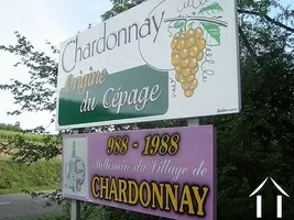 Commerces à vendre chardonnay, bourgogne, JP4720bis Image - 8