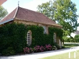 Châteaux, domaine à vendre perrigny sur l ognon, bourgogne, MB1311B Image - 15
