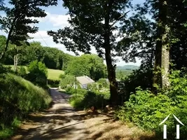 road behind the house to the forest