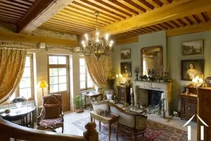 Salon avec plafond  haut à la française et cheminée