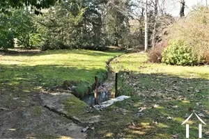 ruisseau alimentant l'étang