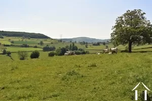 vue par les champs vers Cluny