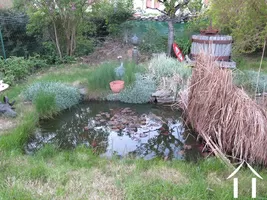 <en>Pond in garden</en>