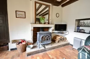 efficient wood burner in salon