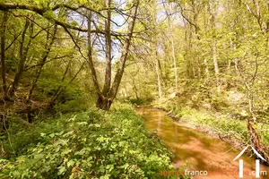 Propriété 1 hectare ++ à vendre neuvic entier, limousin, 777 Image - 37