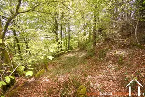 Propriété 1 hectare ++ à vendre neuvic entier, limousin, 777 Image - 39