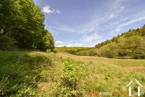 Propriété 1 hectare ++ à vendre neuvic entier, limousin, 777 Image - 40