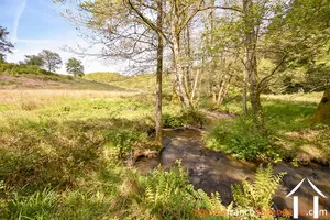 Propriété 1 hectare ++ à vendre neuvic entier, limousin, 777 Image - 38