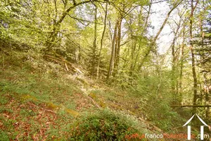 Propriété 1 hectare ++ à vendre neuvic entier, limousin, 777 Image - 36