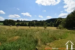 Maison à vendre domps, limousin, Li881 Image - 48