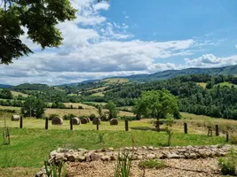 Maison à vendre arronnes, auvergne, AP030071042 Image - 11