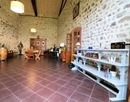 Châteaux, domaine à vendre bournoncle st pierre, auvergne, AP03007942 Image - 32