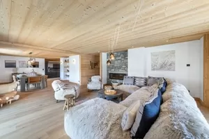 Appartement à vendre demi quartier, rhône-alpes, C4619 Image - 2