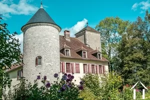 Château à vendre maisod, franche-comté, LD103H Image - 3