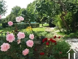 Jardin coloré
