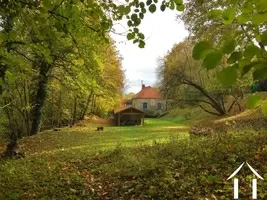 Photographie automnale du jardin