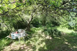 Coin à l'ombre après la rivière