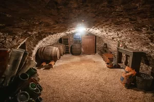 Petite cave à vin