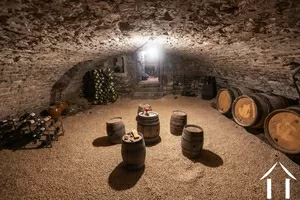 La grande cave à vin