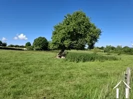 Prairie