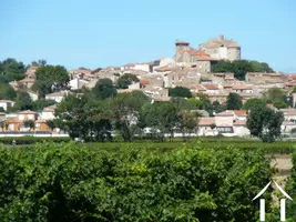 Maison à vendre puissalicon, languedoc-roussillon, 11-2527 Image - 7