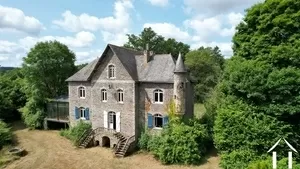 Châteaux, domaine à vendre conquereuil, pays de la loire, 11-2524 Image - 1
