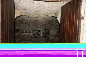 Cellar