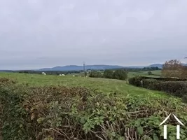 Vue