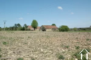 Propriété 1 hectare ++ à vendre montignac, aquitaine, GVS3746C Image - 8