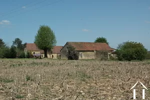 Propriété 1 hectare ++ à vendre montignac, aquitaine, GVS3746C Image - 9