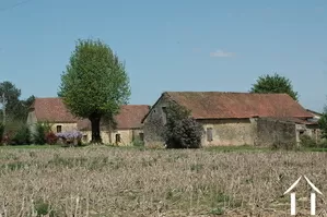 Propriété 1 hectare ++ à vendre montignac, aquitaine, GVS3746C Image - 10
