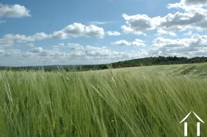 Propriété 1 hectare ++ à vendre thenon, aquitaine, GVS4241C Image - 18