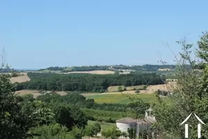 Maison en pierre à vendre monflanquin, aquitaine, DM4307 Image - 12