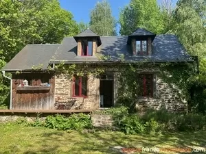 Au coeur de la forêt Ref # Li993 