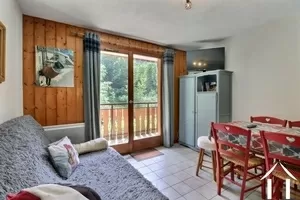 Appartement 2 chambres - au pied des pistes  Ref # C6547 