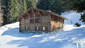 Un alpage authentique à 80 m des pistes, réhabilité sur mesure dans un cadre naturel unique  Ref # C6613 