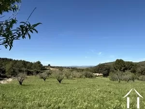 Hangar agricole entre Pézenas, Clermont l’H. et Montpellier Ref # 11-2514 