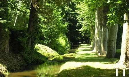 Châteaux, domaine à vendre mazamet, midi-pyrénées, 11-2214 Image - 14