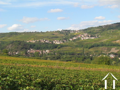 Une autre vue du vignoble. Ici, Dezize-les-Maranges