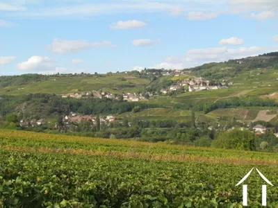 Une autre vue du vignoble. Ici, Dezize-les-Maranges