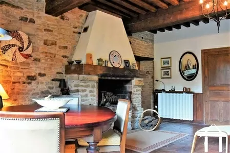 séjour avec cheminée