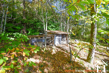 Maison à vendre meuzac, limousin, Li1019 Image - 47