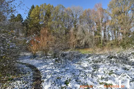 Maison avec gite à vendre chateauneuf la foret, limousin, Li1025 Image - 42