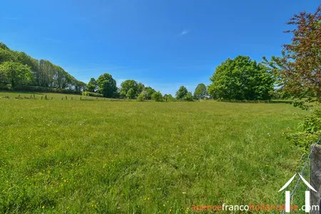 Propriété 1 hectare ++ à vendre chateauneuf la foret, limousin, Li1062 Image - 40