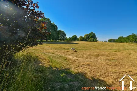 Propriété 1 hectare ++ à vendre chateauneuf la foret, limousin, Li1062 Image - 52