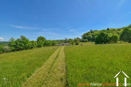 Propriété 1 hectare ++ à vendre chateauneuf la foret, limousin, Li1062 Image - 57