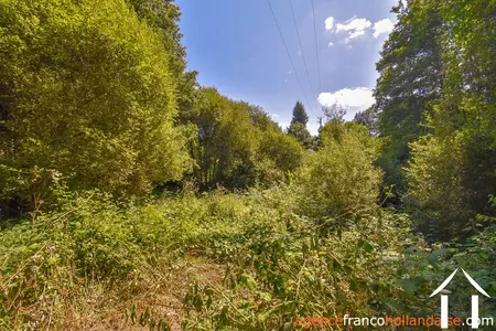 Maison à vendre nedde, limousin, Li913 Image - 40