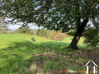 Maison à vendre beyssenac, limousin, Li929 Image - 66